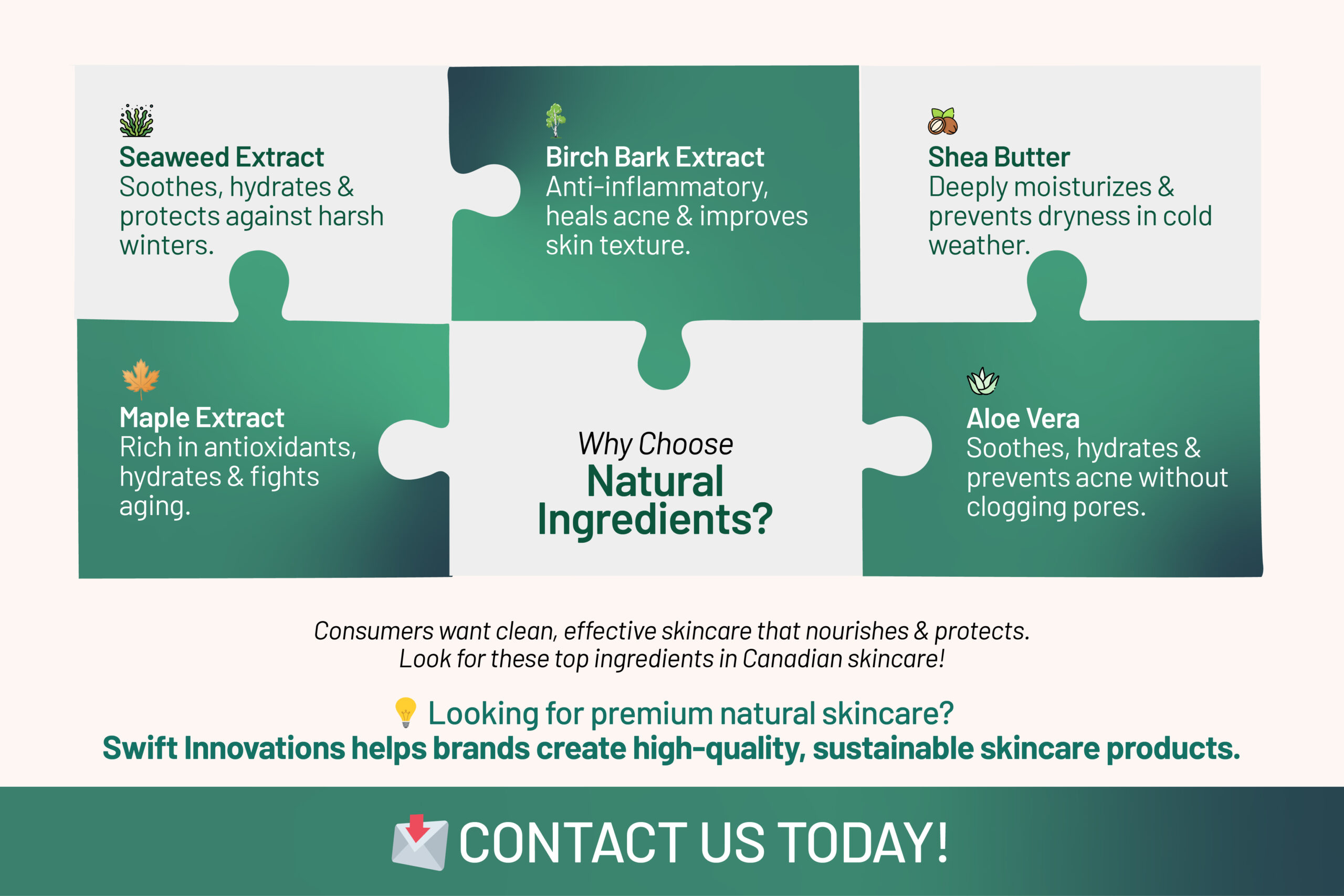 Infographic showing natural skincare ingredients like Maple Extract, Seaweed, Birch Bark, Shea Butter, and Aloe Vera used in Canadian skincare for hydration, anti-aging, and soothing benefits